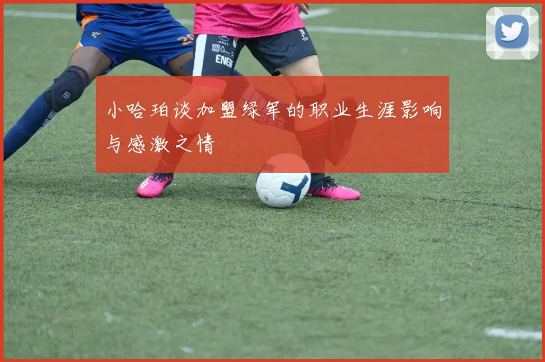 小哈珀谈加盟绿军的职业生涯影响与感激之情