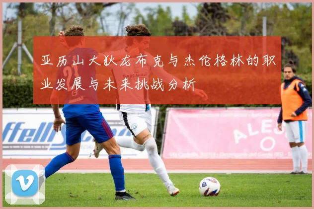 亚历山大狄龙布克与杰伦格林的职业发展与未来挑战分析